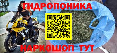 СК Лесосибирск