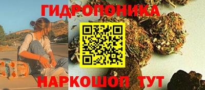 СК Лесосибирск